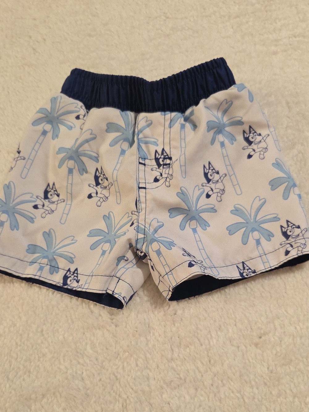 BLUEY SWIM TRUNKS